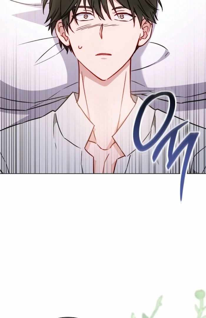 Read Royal Shop Of Young Lady Manga Online