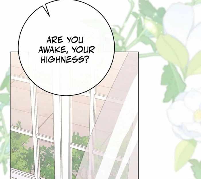 Read Royal Shop Of Young Lady Manga Online