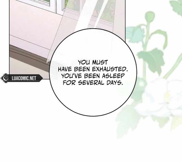 Read Royal Shop Of Young Lady Manga Online