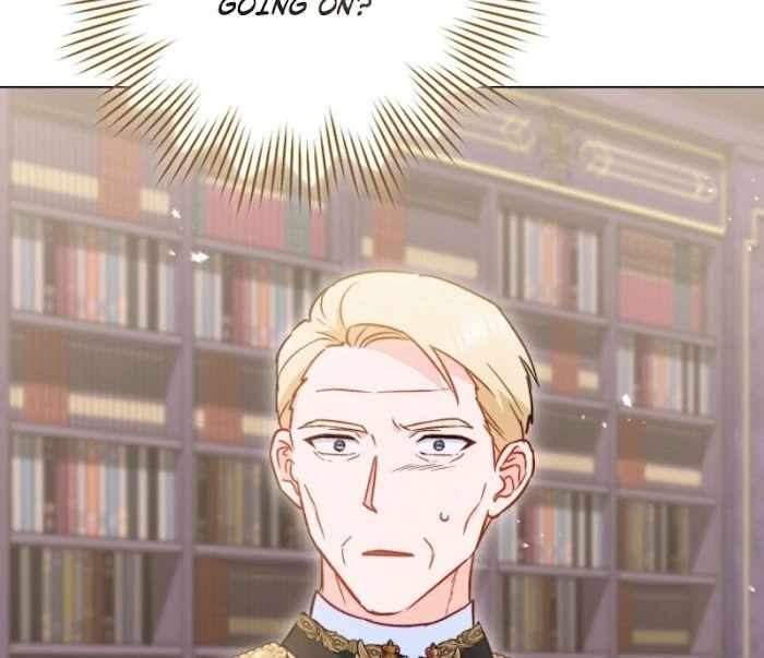 Read Royal Shop Of Young Lady Manga Online