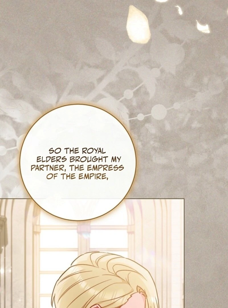 Read Royal Shop Of Young Lady Manga Online