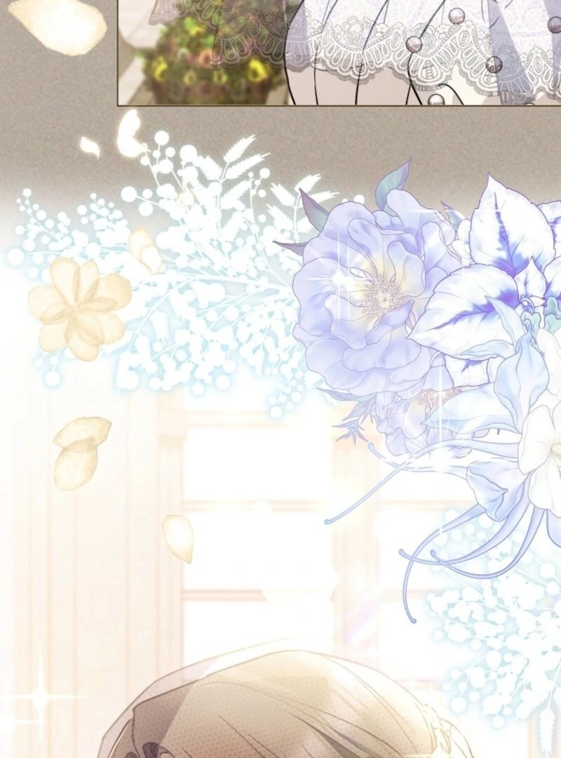 Read Royal Shop Of Young Lady Manga Online