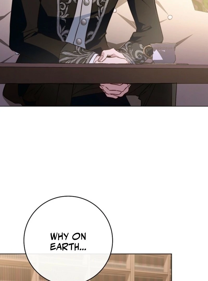 Read Royal Shop Of Young Lady Manga Online