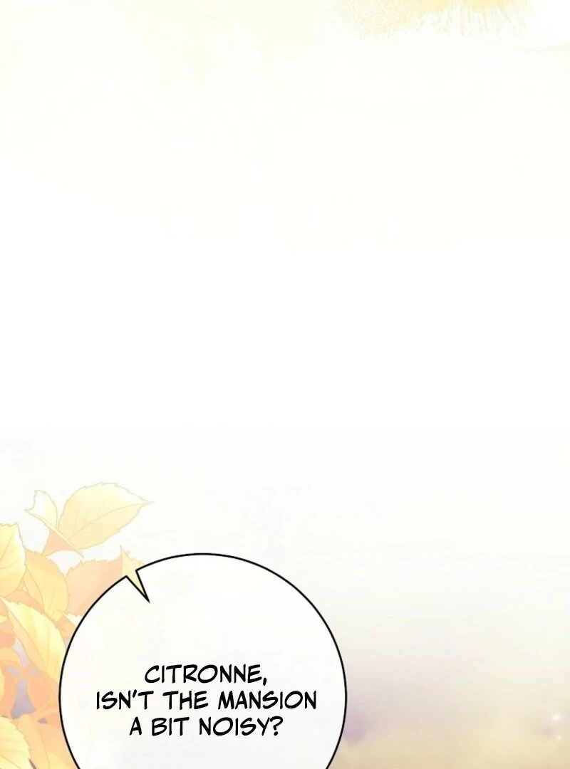 Read Royal Shop Of Young Lady Manga Online