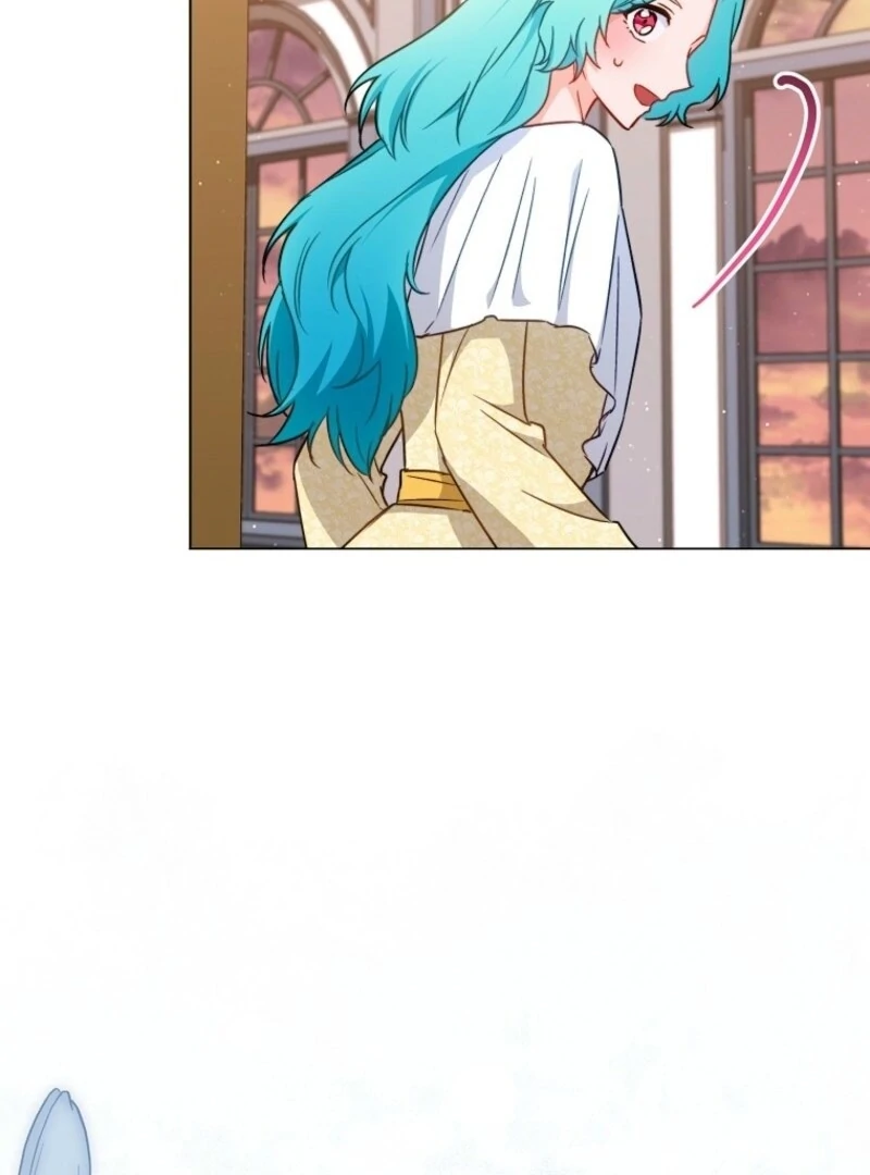 Read Royal Shop Of Young Lady Manga Online