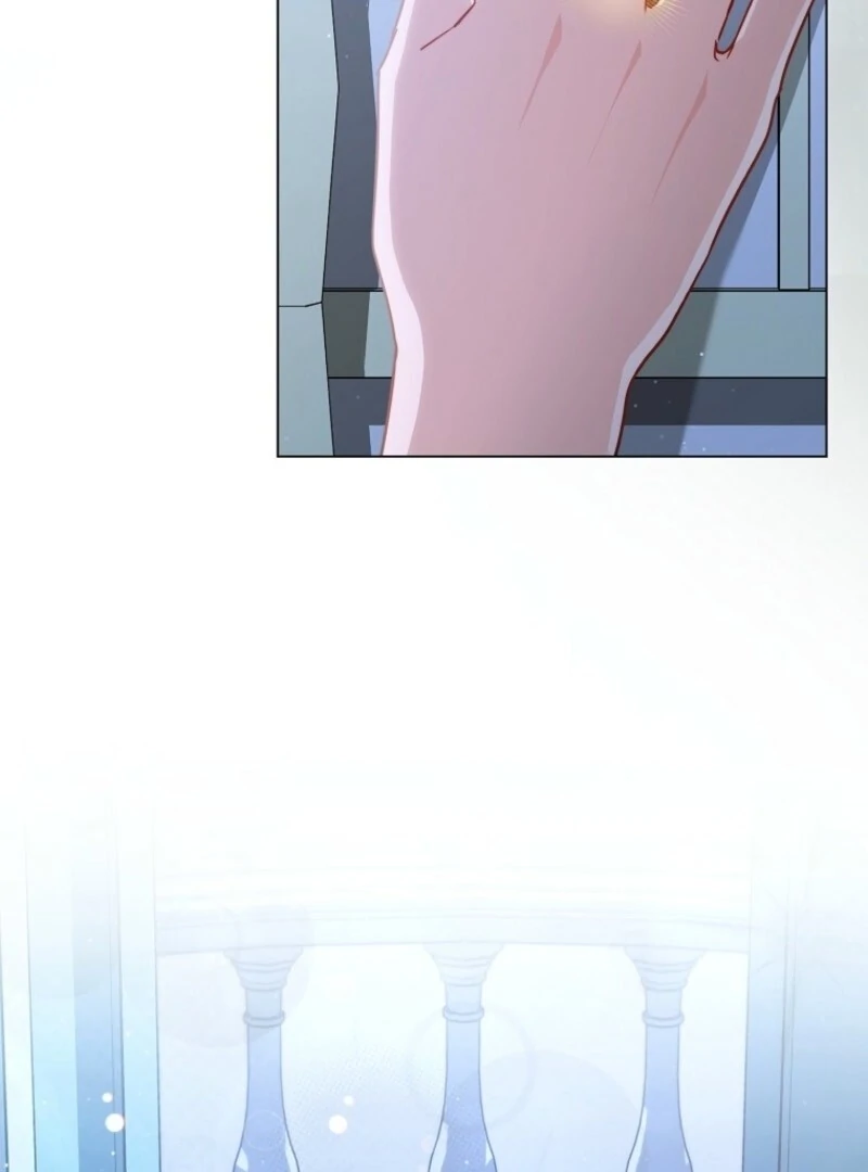 Read Royal Shop Of Young Lady Manga Online