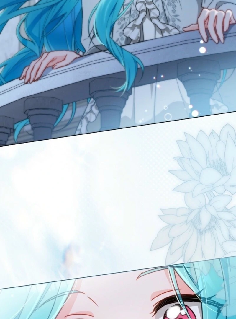 Read Royal Shop Of Young Lady Manga Online