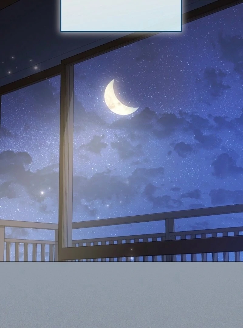 Read Royal Shop Of Young Lady Manga Online