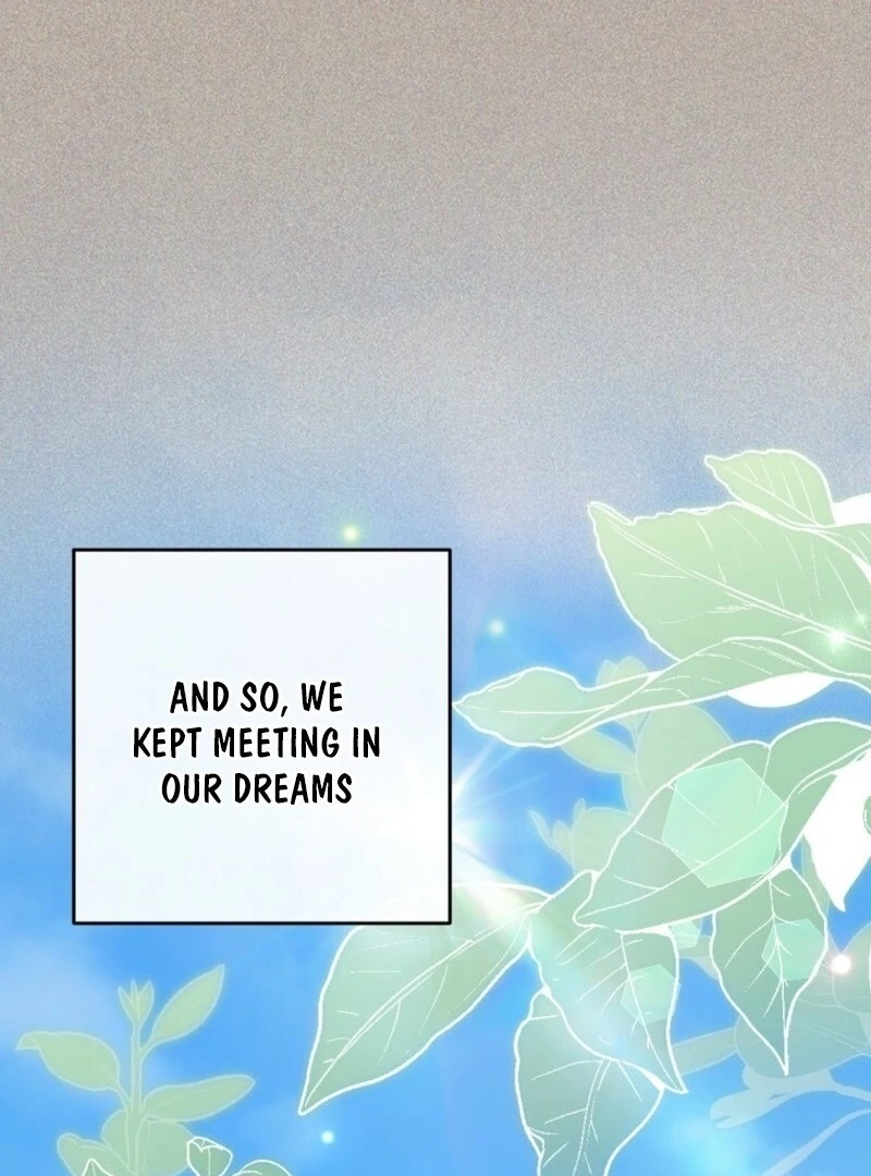 Read Royal Shop Of Young Lady Manga Online