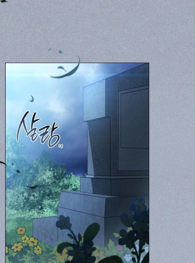 Read Royal Shop Of Young Lady Manga Online