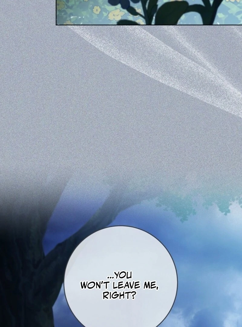 Read Royal Shop Of Young Lady Manga Online