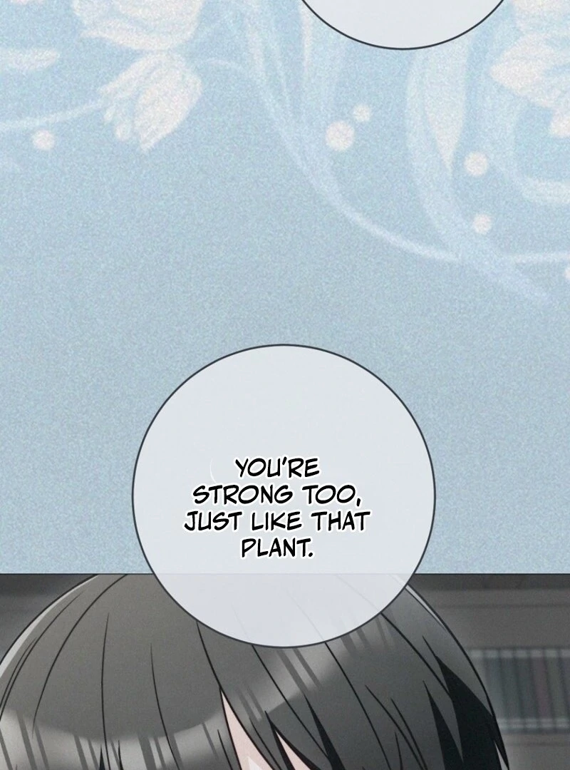 Read Royal Shop Of Young Lady Manga Online