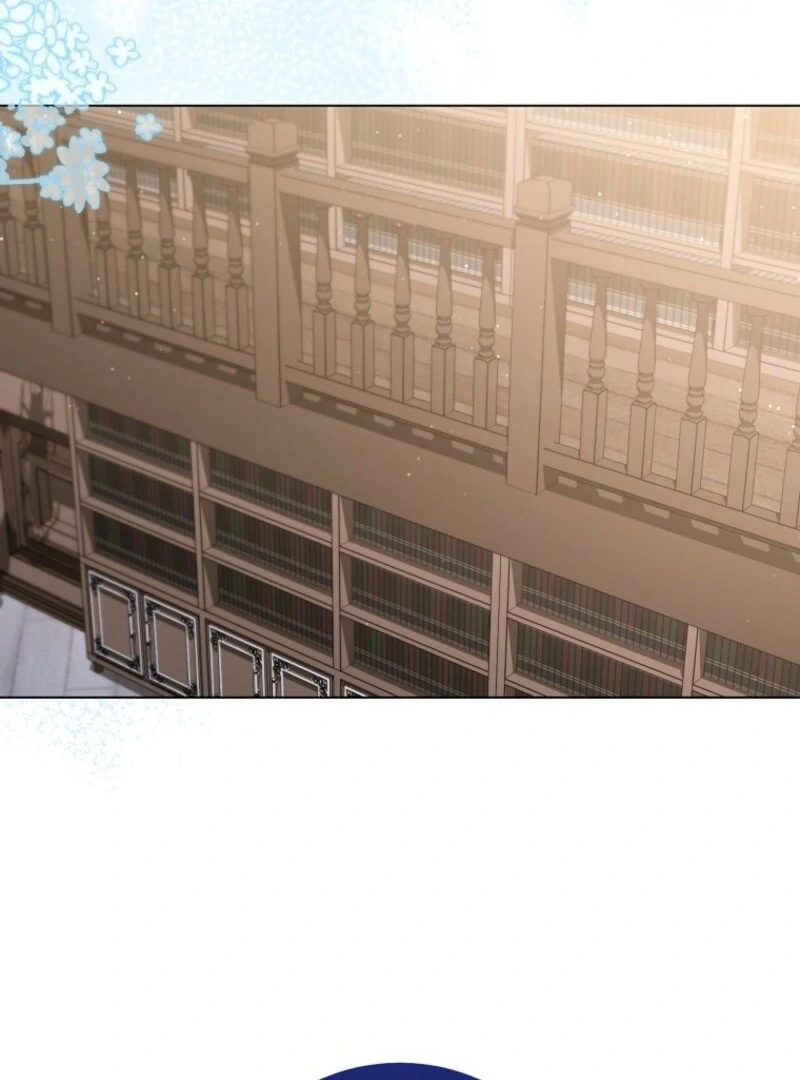 Read Royal Shop Of Young Lady Manga Online