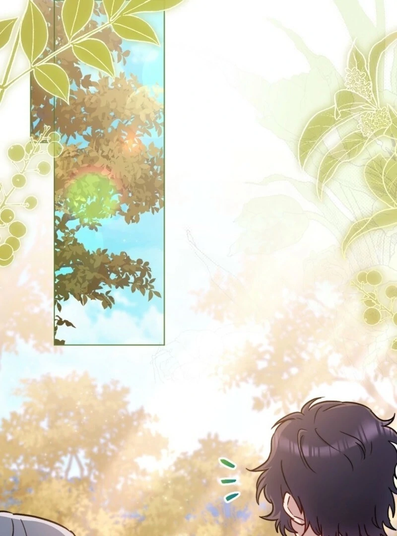 Read Royal Shop Of Young Lady Manga Online