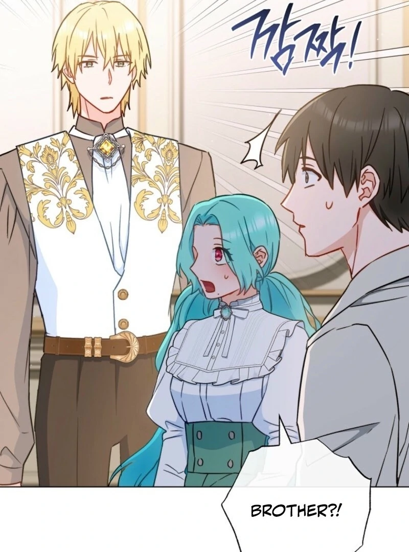 Read Royal Shop Of Young Lady Manga Online