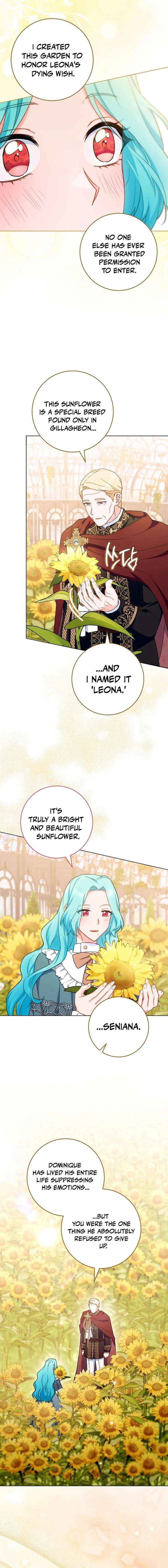 Read Royal Shop Of Young Lady Manga Online