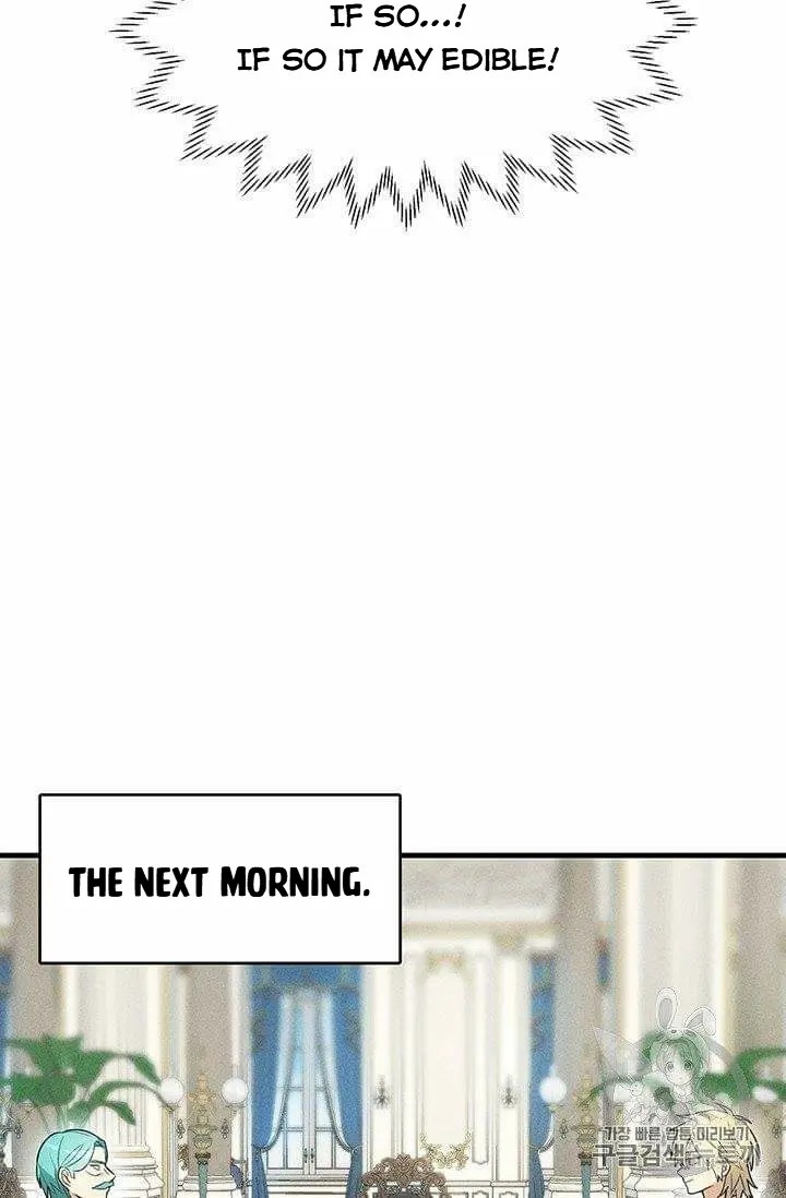 Read Royal Shop Of Young Lady Manga Online
