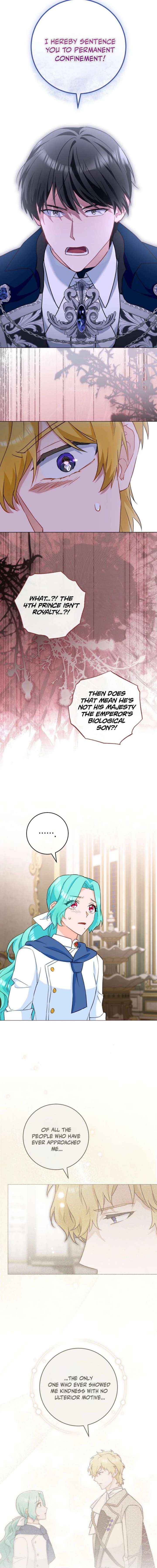 Read Royal Shop Of Young Lady Manga Online