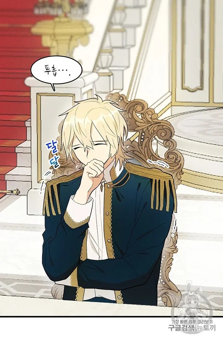 Read Royal Shop Of Young Lady Manga Online
