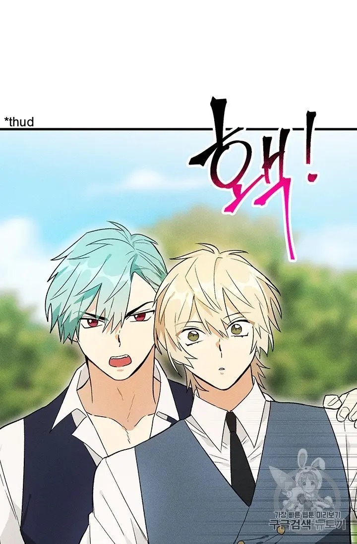 Read Royal Shop Of Young Lady Manga Online