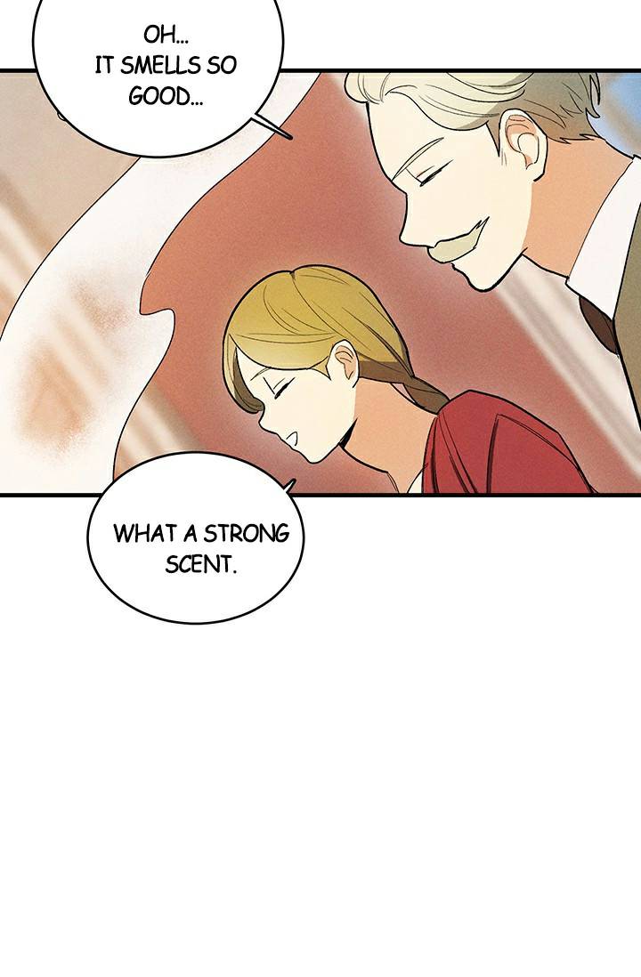 Read Royal Shop Of Young Lady Manga Online