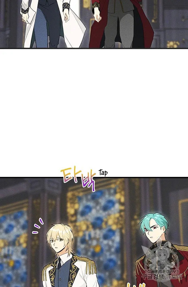 Read Royal Shop Of Young Lady Manga Online