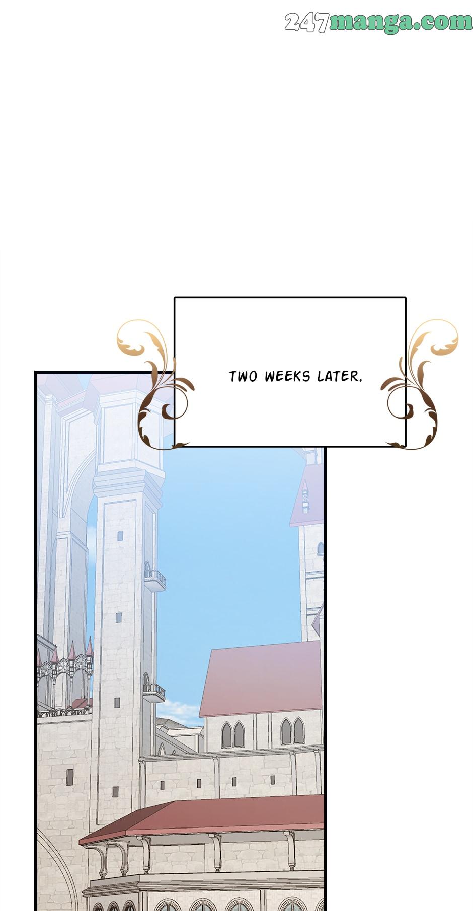 Read Royal Shop Of Young Lady Manga Online