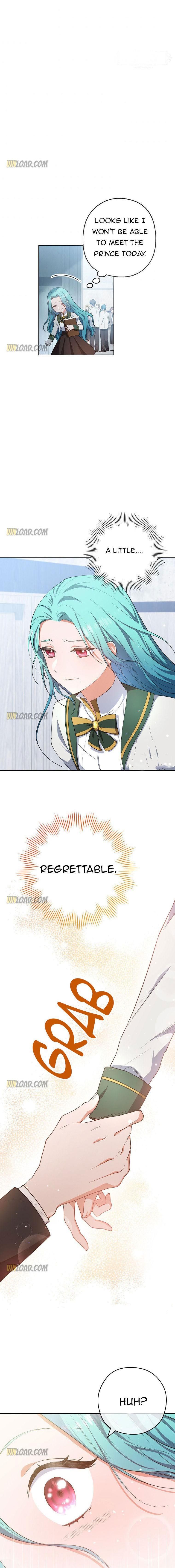 Read Royal Shop Of Young Lady Manga Online