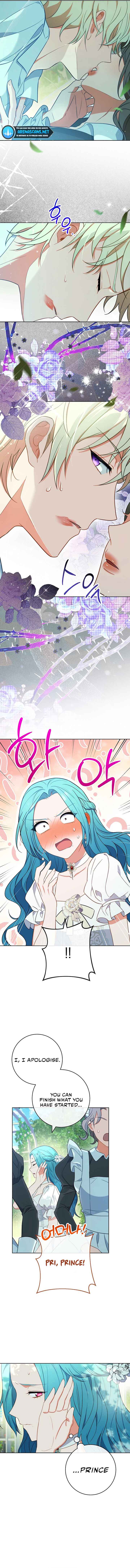 Read Royal Shop Of Young Lady Manga Online