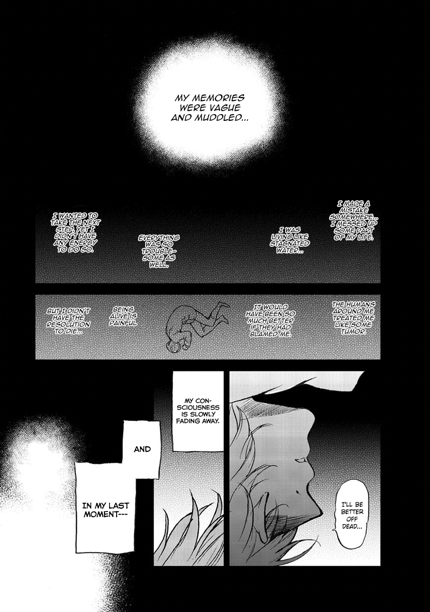 Read Saihate no Paladin Manga Online