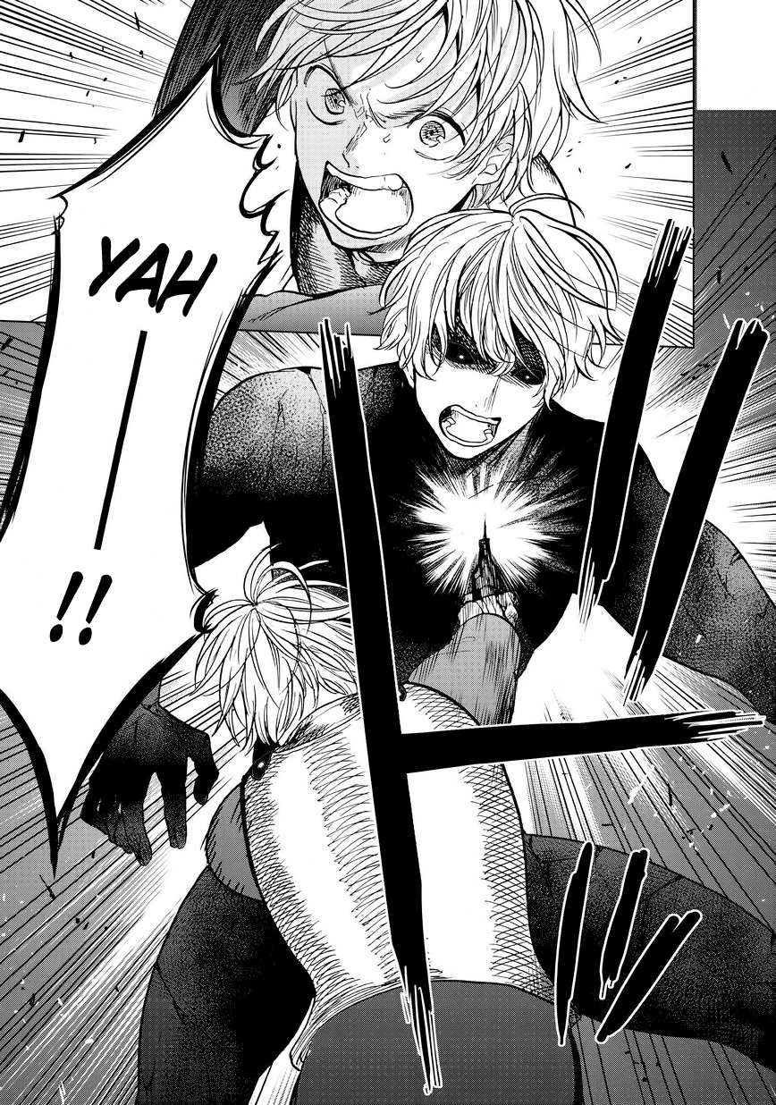 Read Saihate no Paladin Manga Online