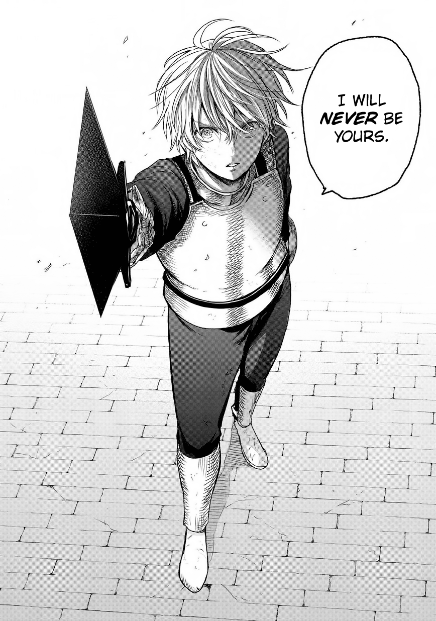 Read Saihate no Paladin Manga Online