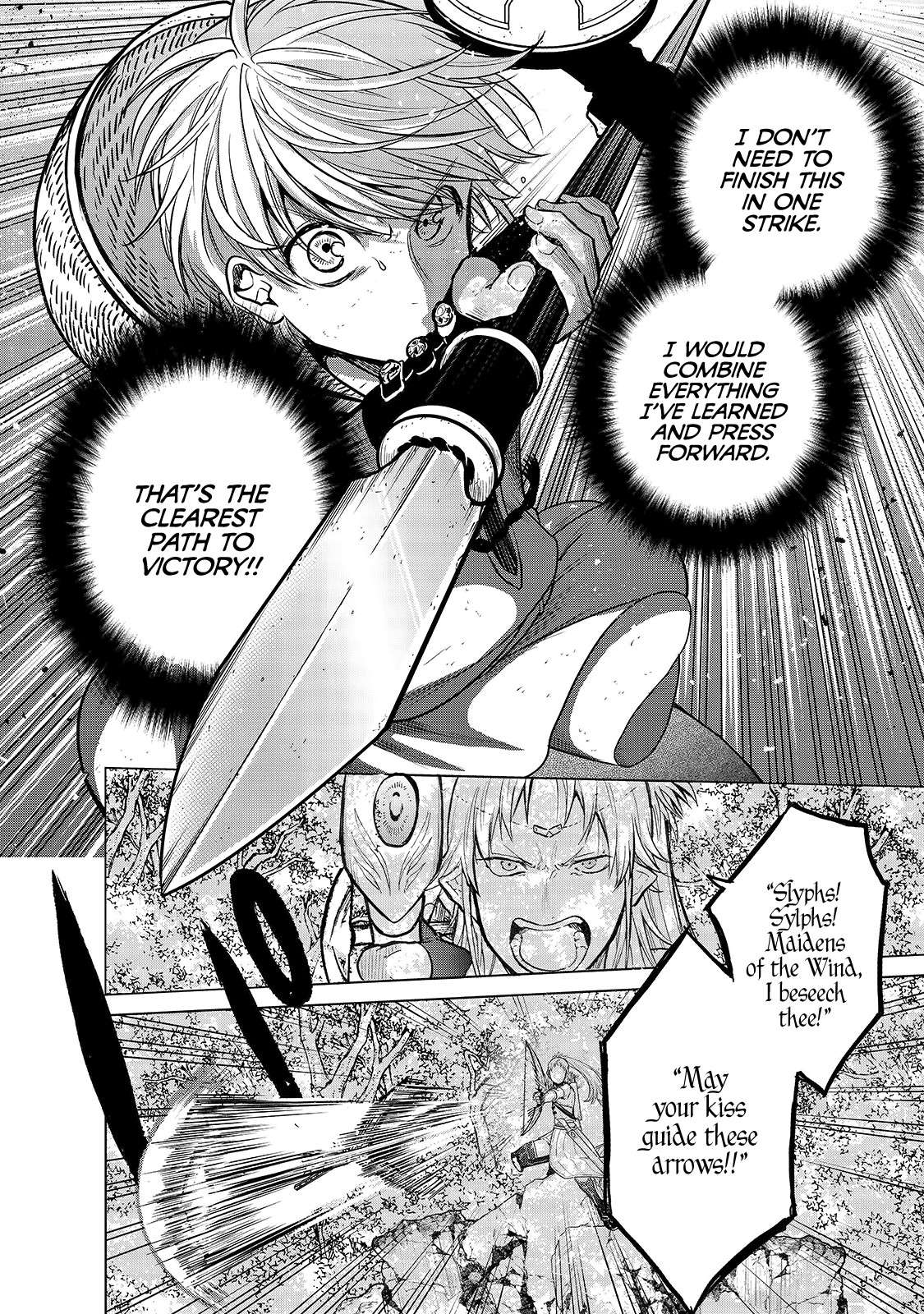 Read Saihate no Paladin Manga Online