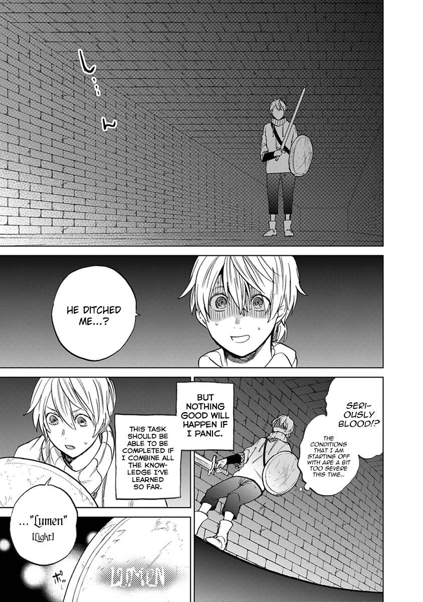 Read Saihate no Paladin Manga Online