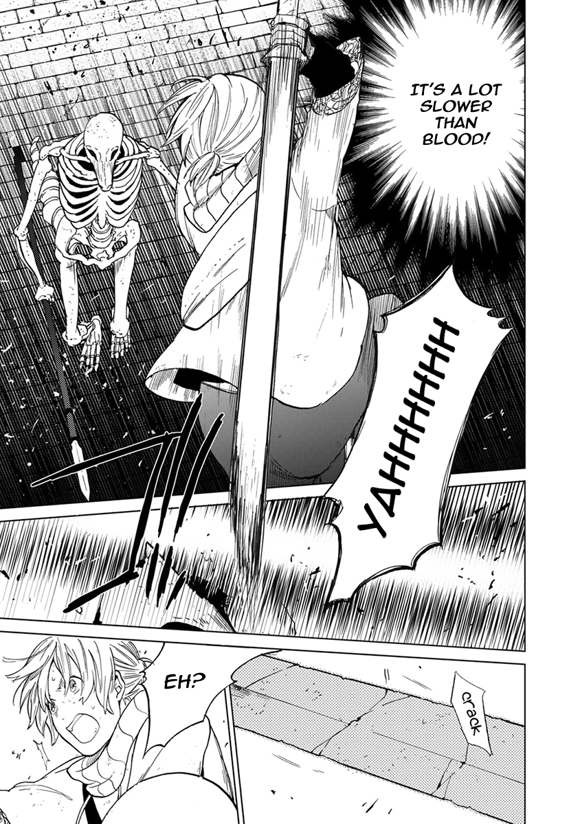 Read Saihate no Paladin Manga Online