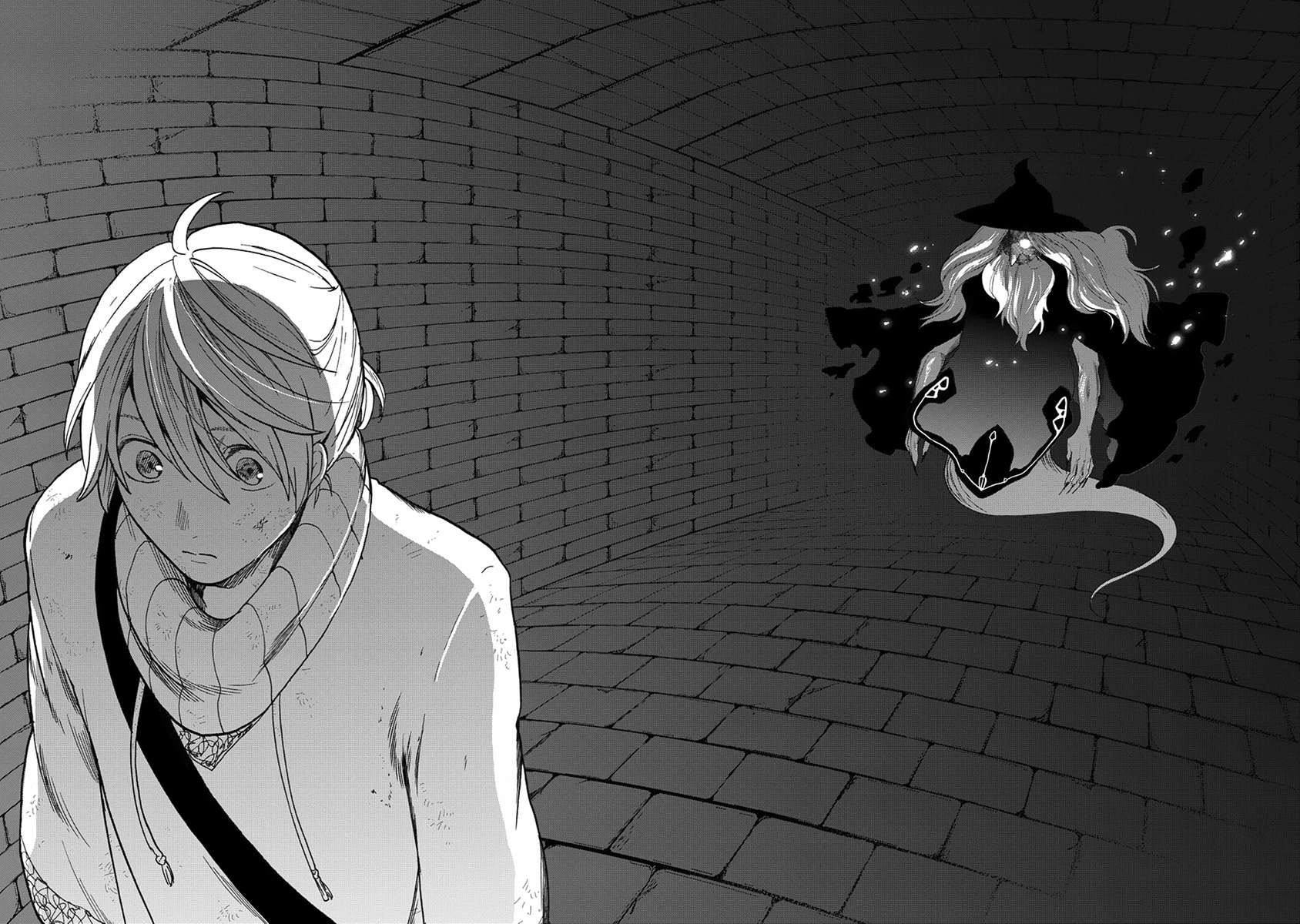 Read Saihate no Paladin Manga Online