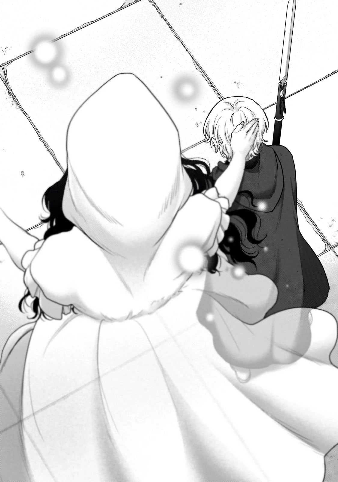 Read Saihate no Paladin Manga Online