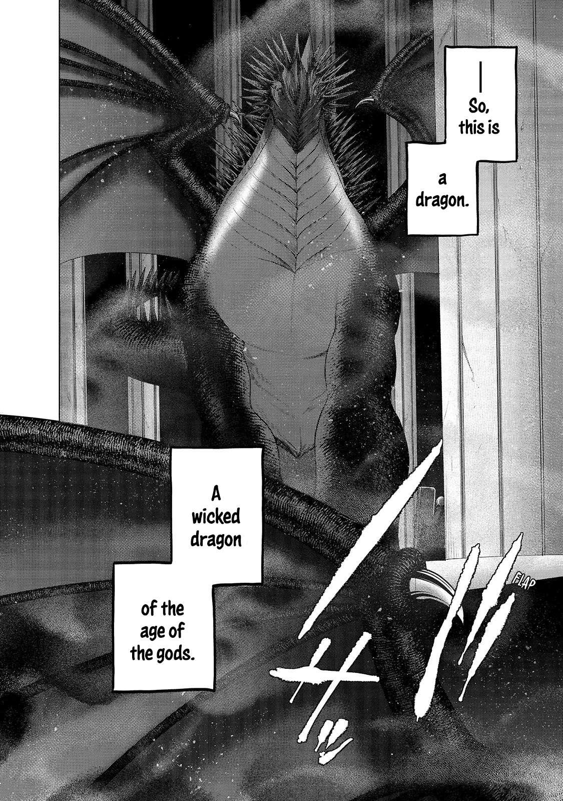 Read Saihate no Paladin Manga Online