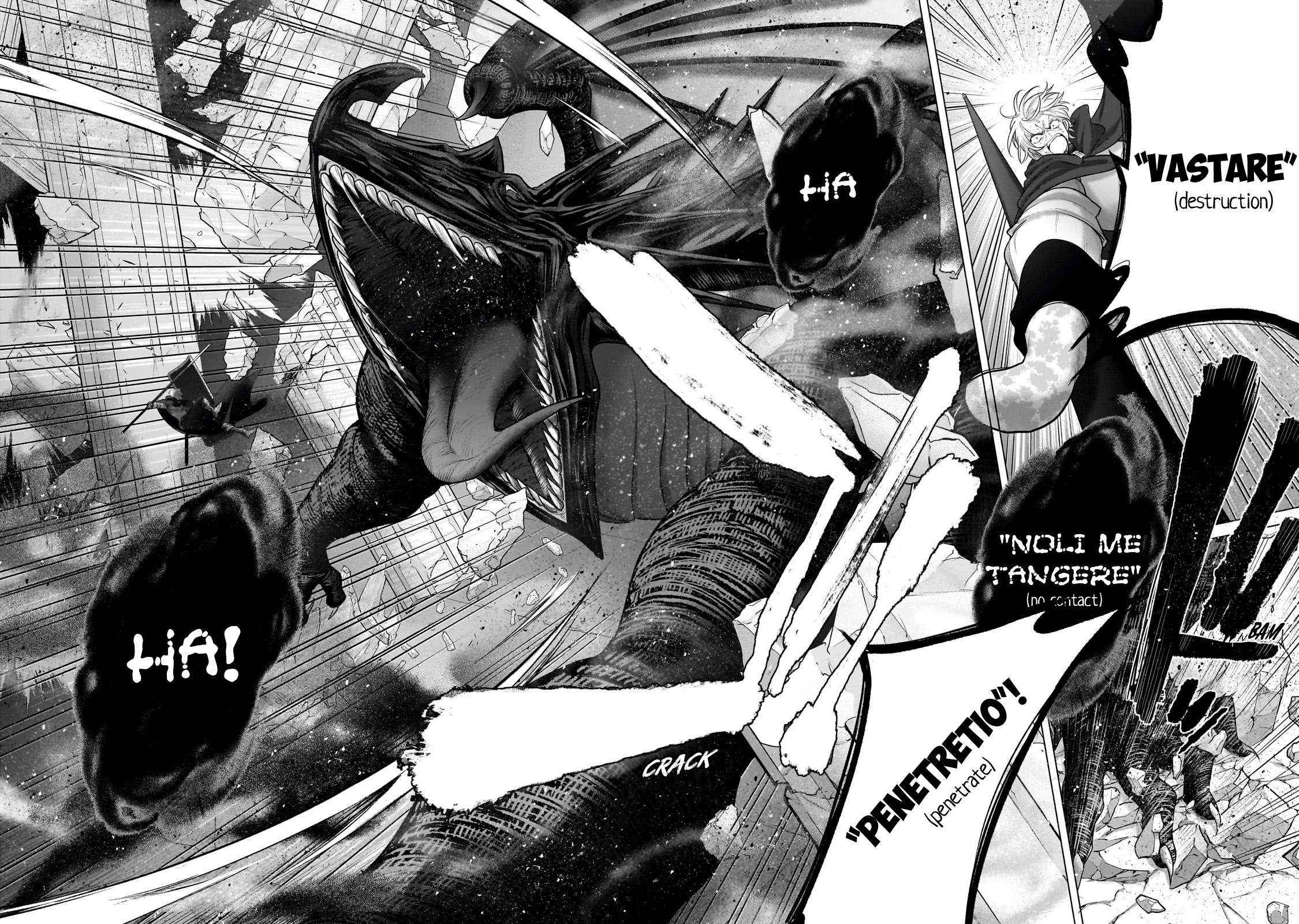 Read Saihate no Paladin Manga Online