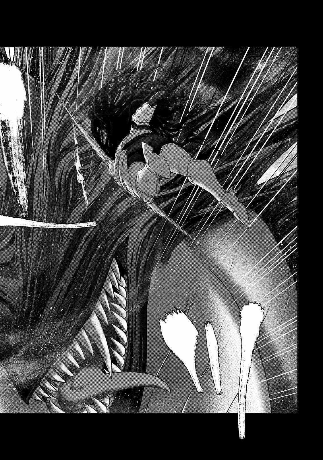 Read Saihate no Paladin Manga Online