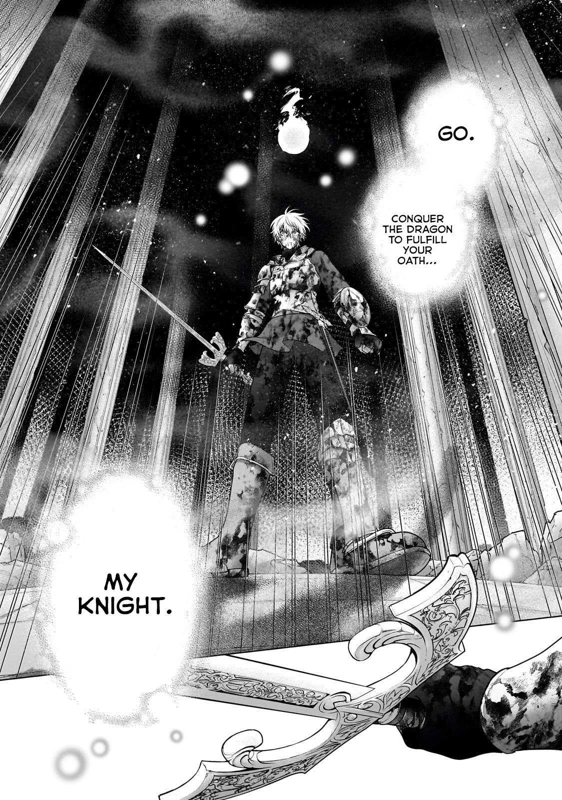 Read Saihate no Paladin Manga Online