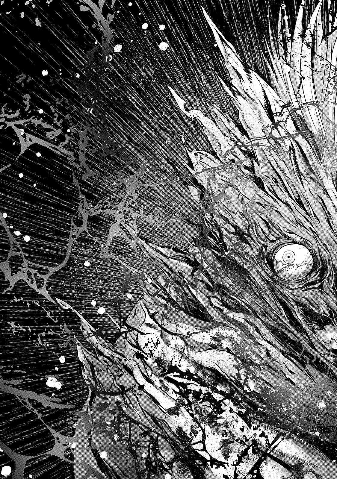 Read Saihate no Paladin Manga Online