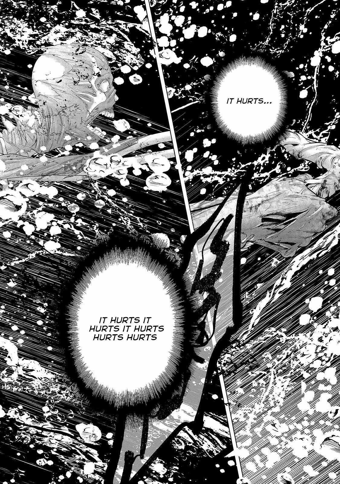 Read Saihate no Paladin Manga Online