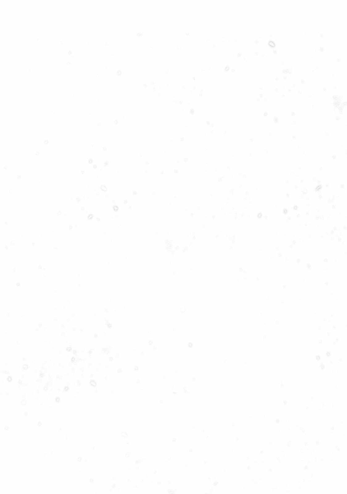 Read Saihate no Paladin Manga Online