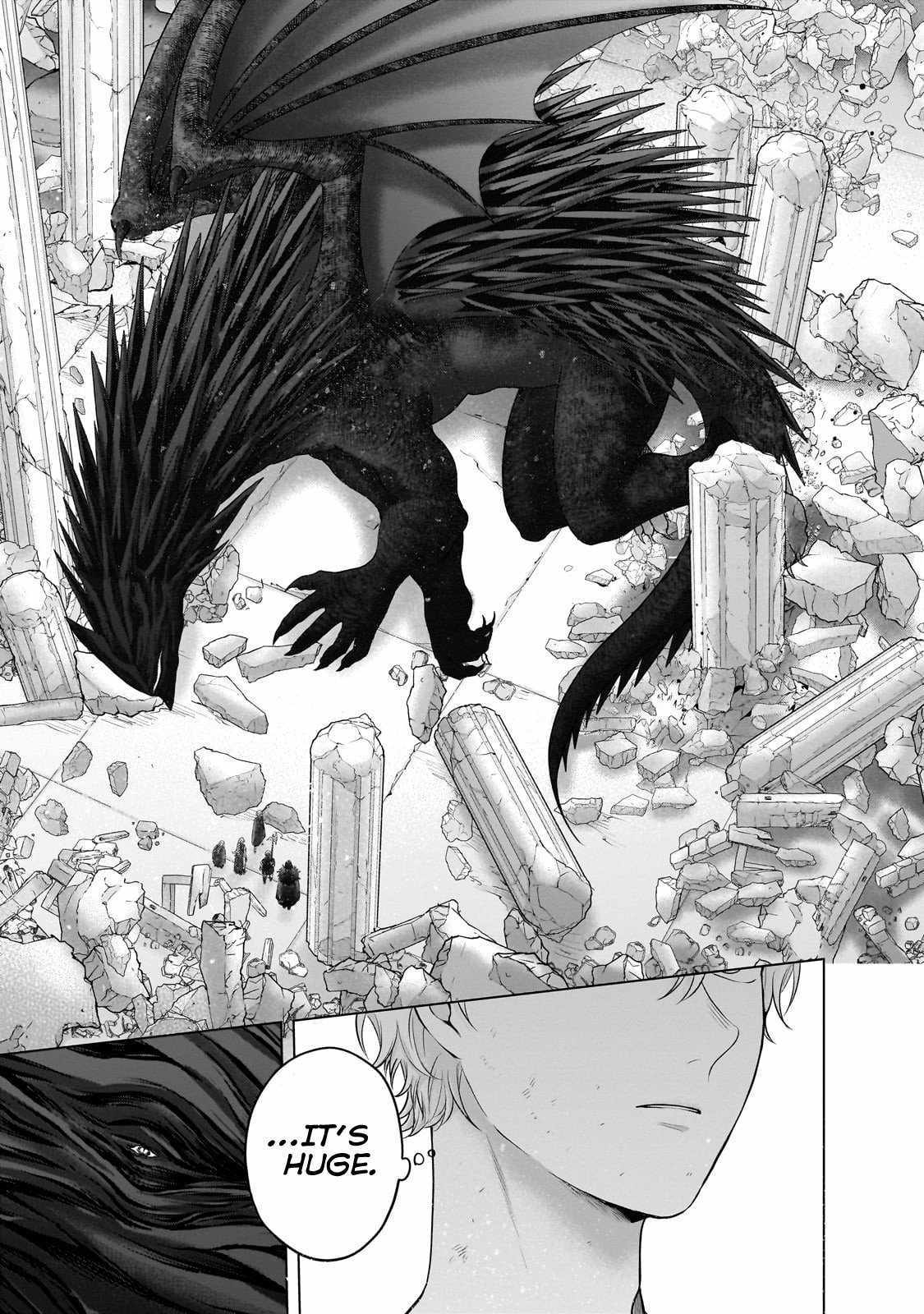 Read Saihate no Paladin Manga Online