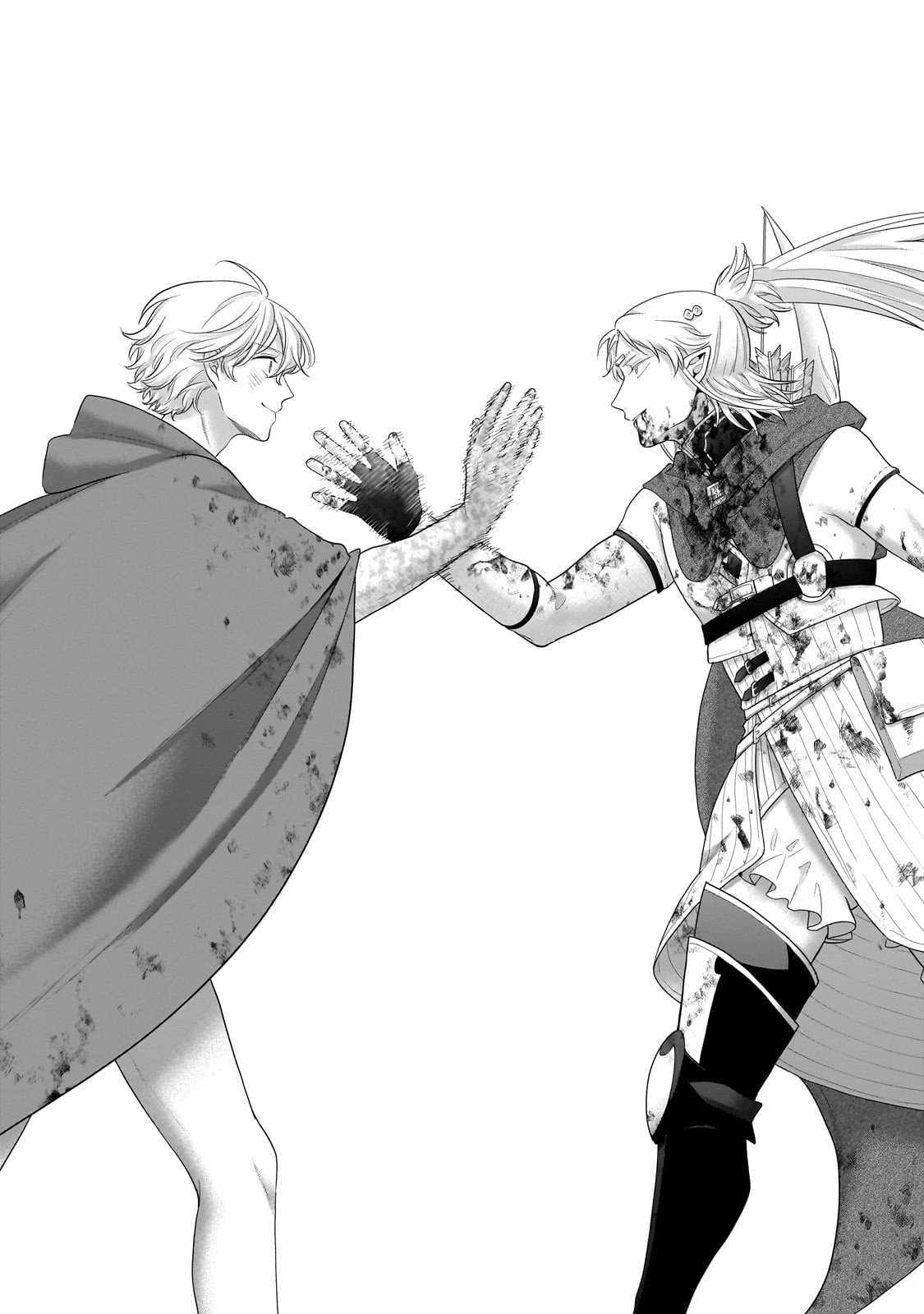 Read Saihate no Paladin Manga Online