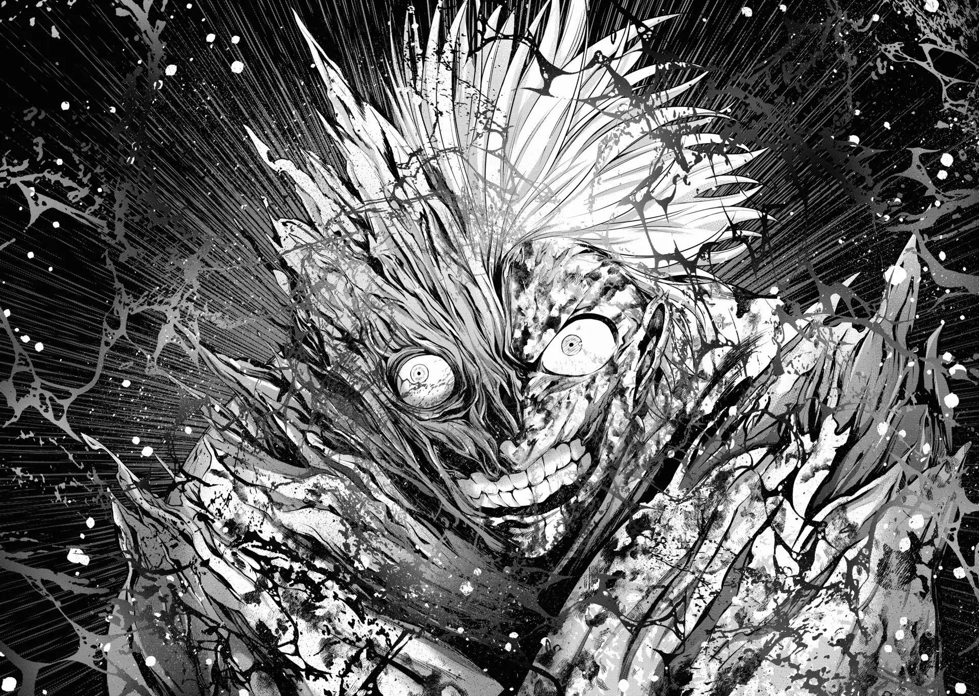 Read Saihate no Paladin Manga Online