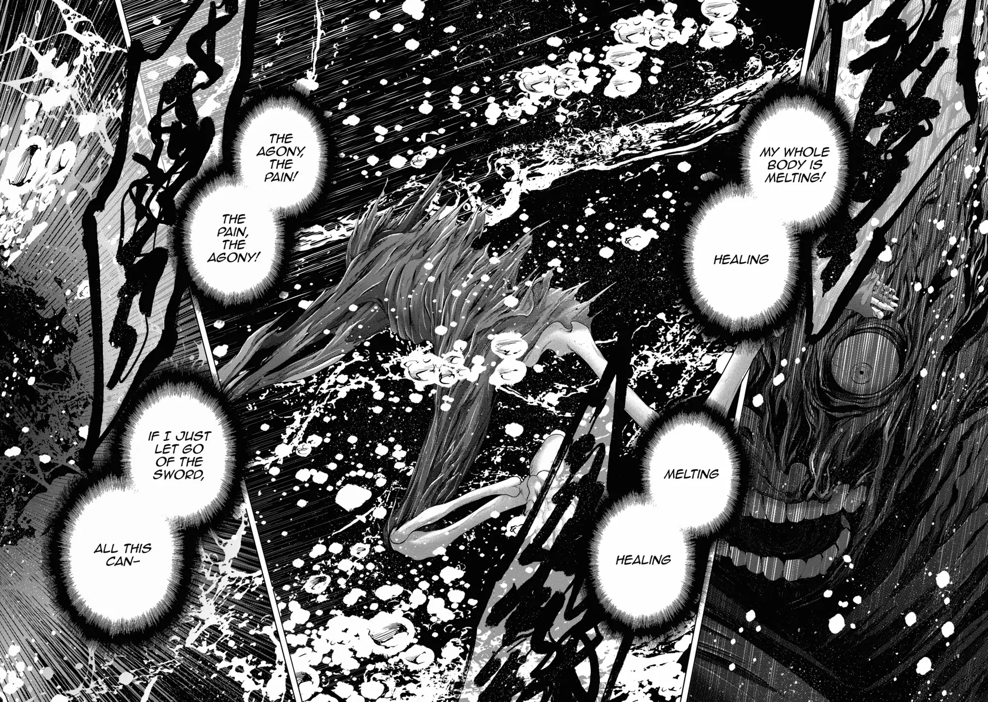 Read Saihate no Paladin Manga Online