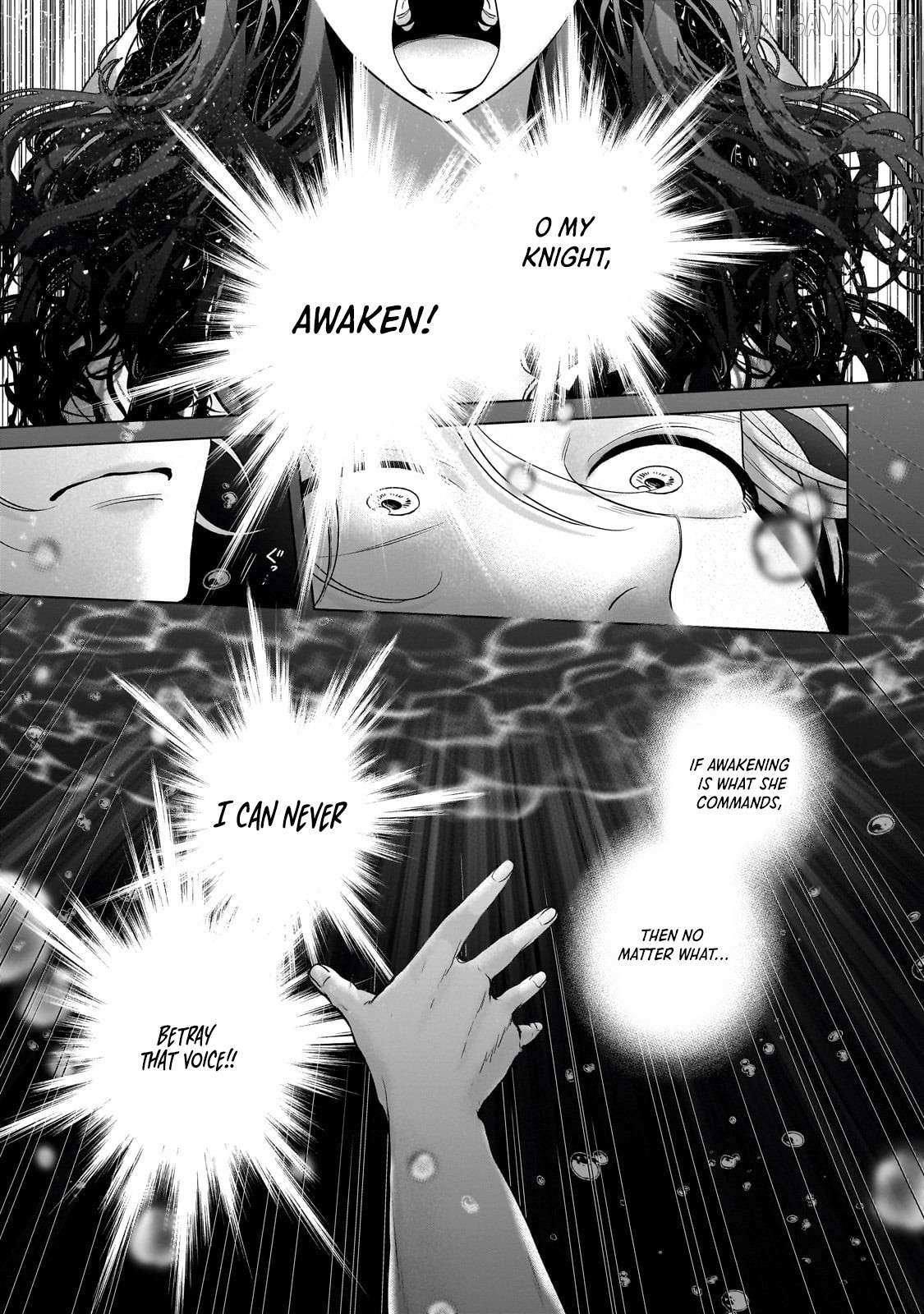 Read Saihate no Paladin Manga Online