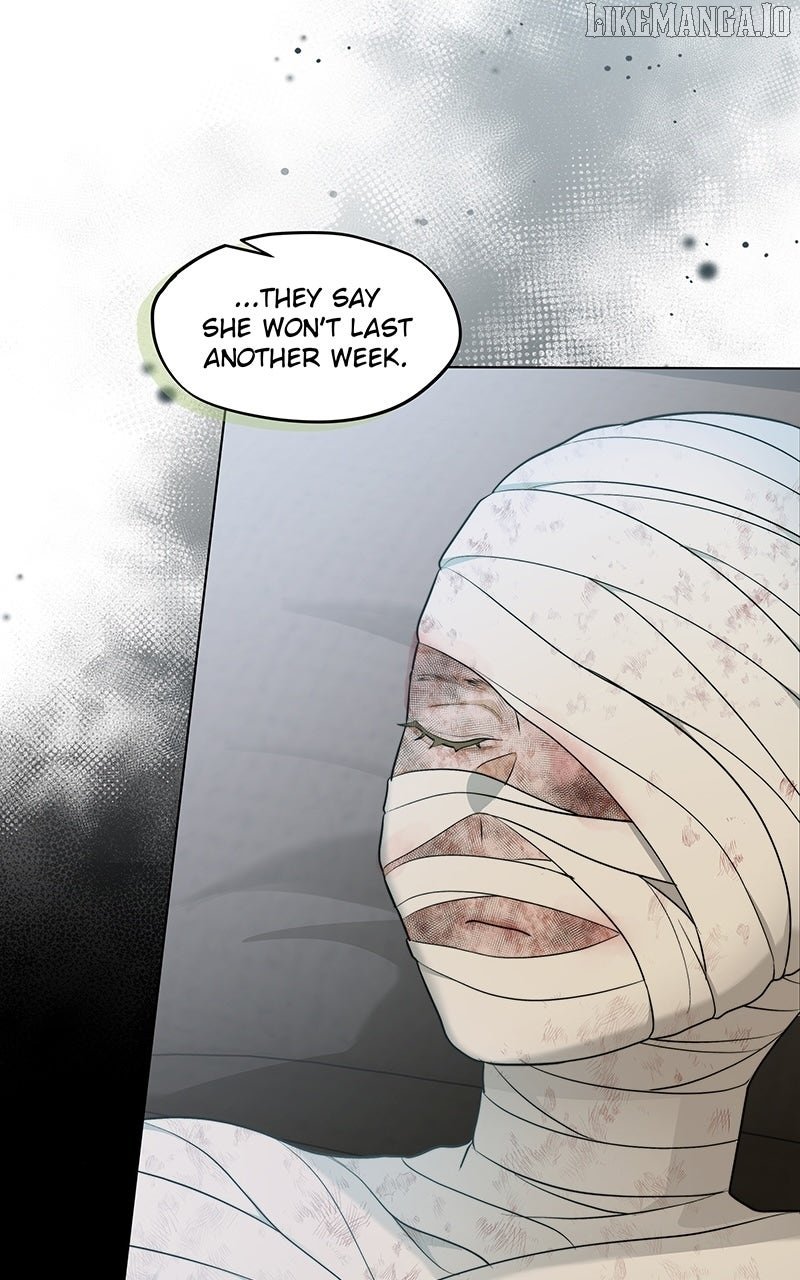 Read Seabird and the Wolf Manga Online